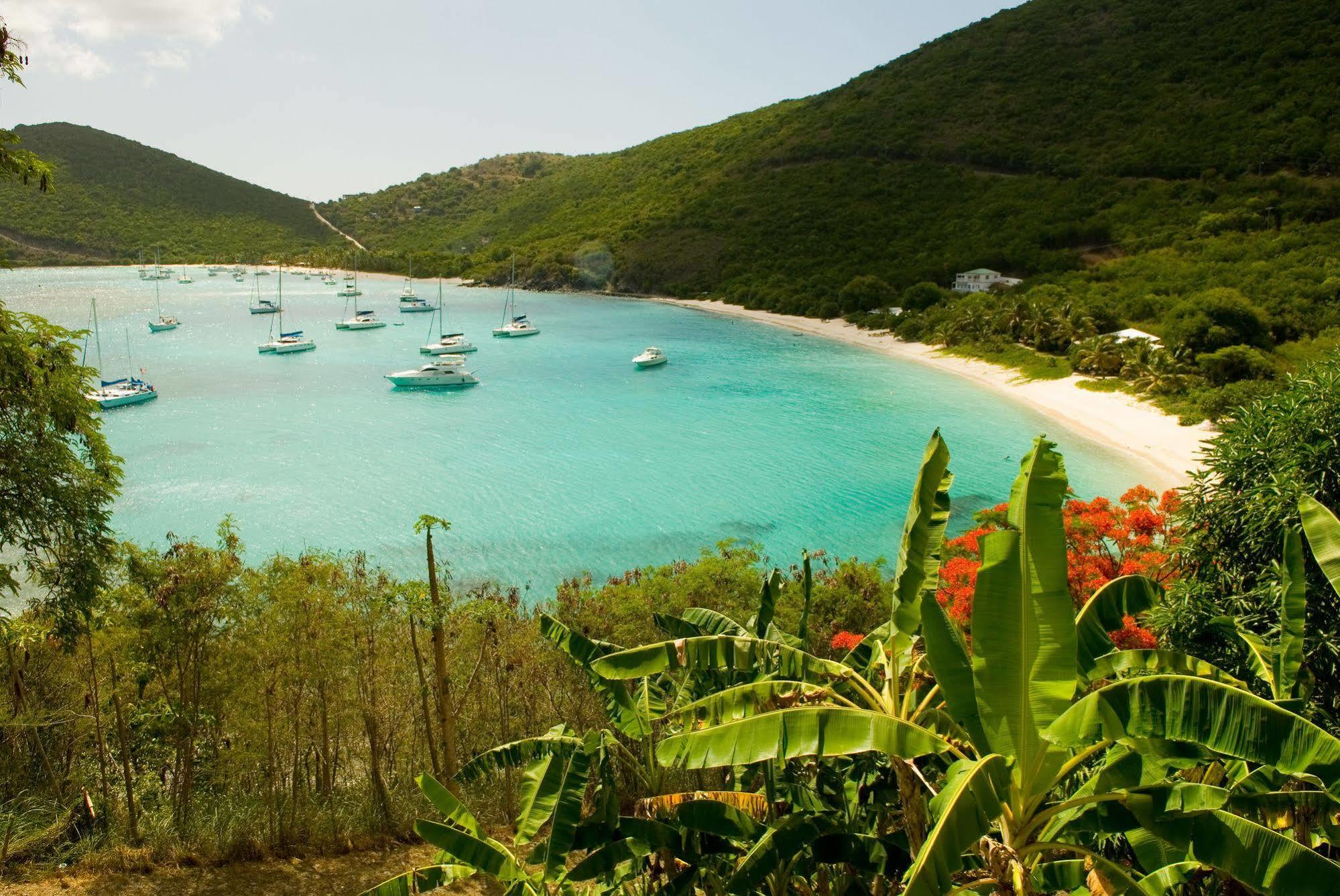 White Bay Villas And Beach Club Jost Van Dyke Ngoại thất bức ảnh